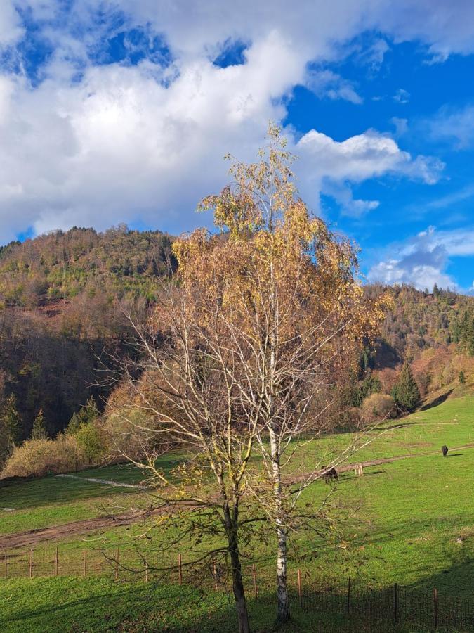 Greenriver Apartment Spodnje Gorje Exteriér fotografie