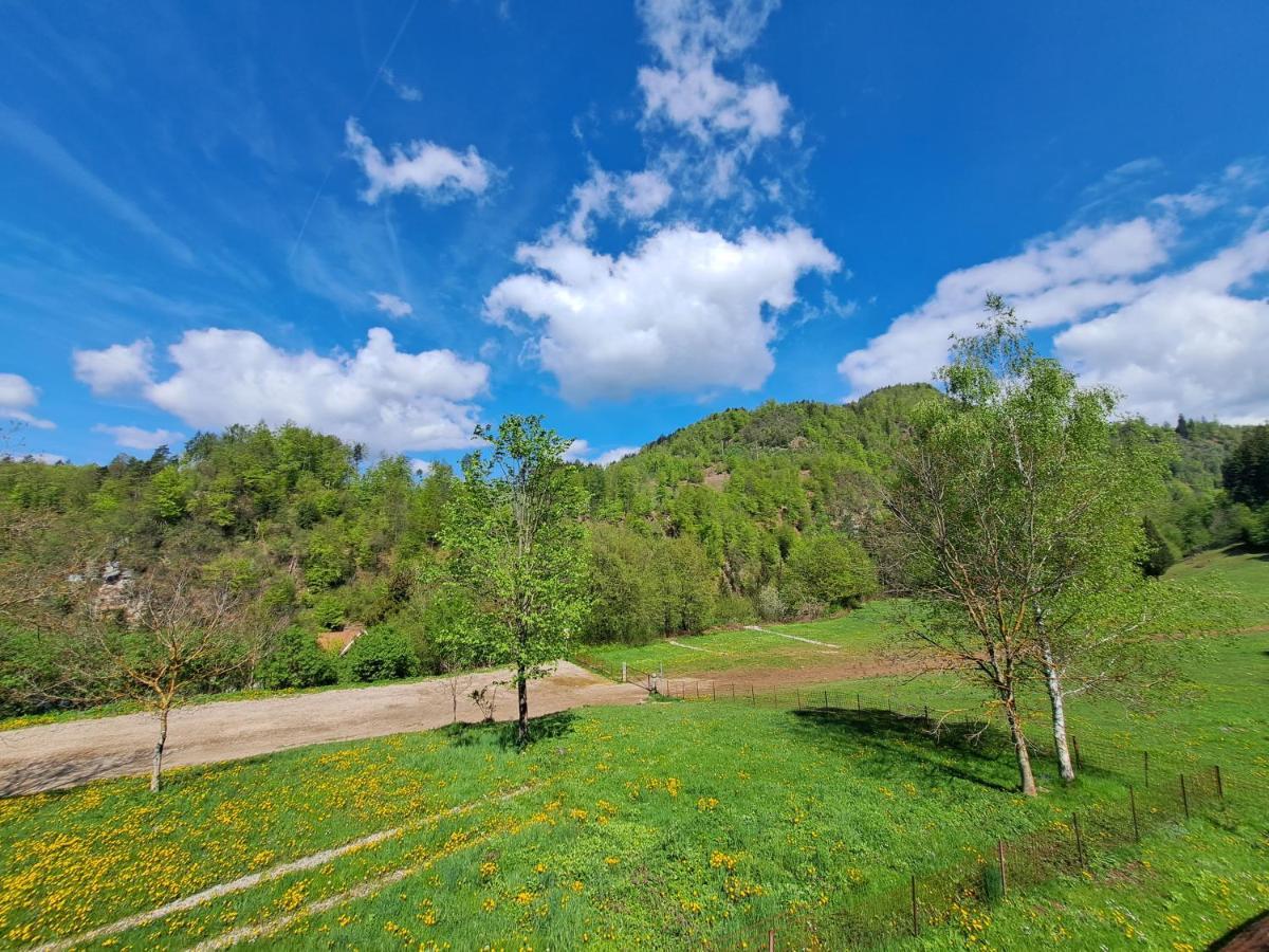 Greenriver Apartment Spodnje Gorje Exteriér fotografie