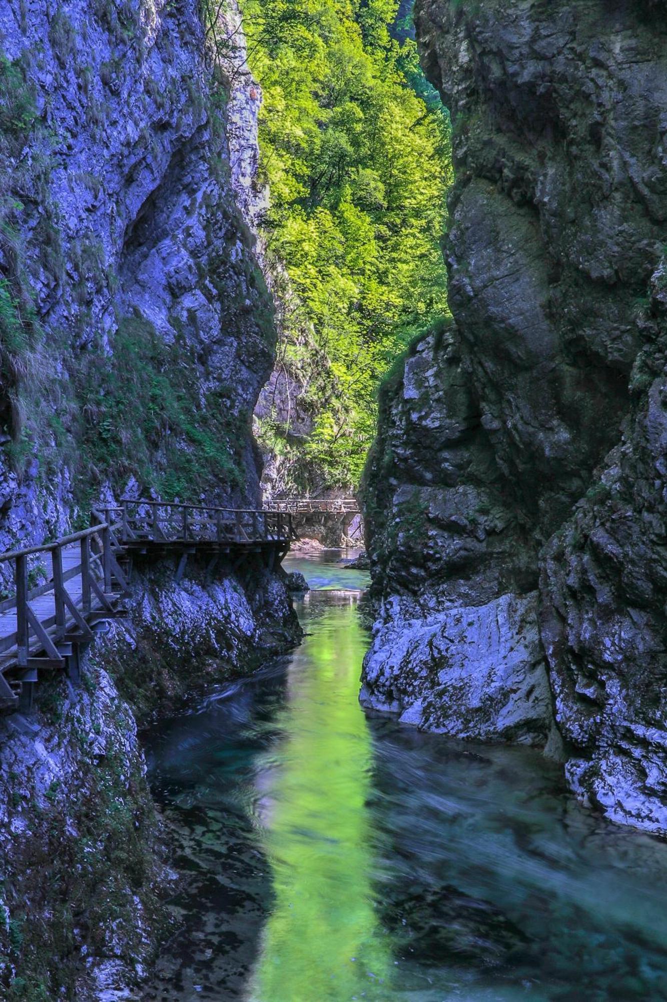 Greenriver Apartment Spodnje Gorje Exteriér fotografie